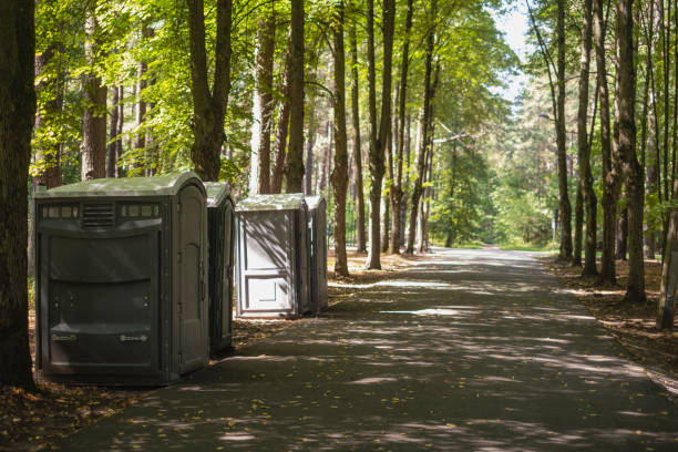 Best Porta potty rental near me  in Mishicot, WI